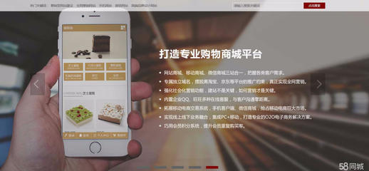 模板網站建設,微信開發,app開發 - 廣州58同城