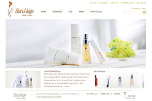 跨境電商商城網(wǎng)站建設(shè)制作解決方案與主要功能明細(xì)介紹